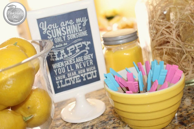 peachfully-chic-you-are-my-sunshine-baby-shower-theme-sign-1