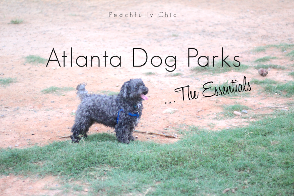 atlanta-dog-park-essentials-main