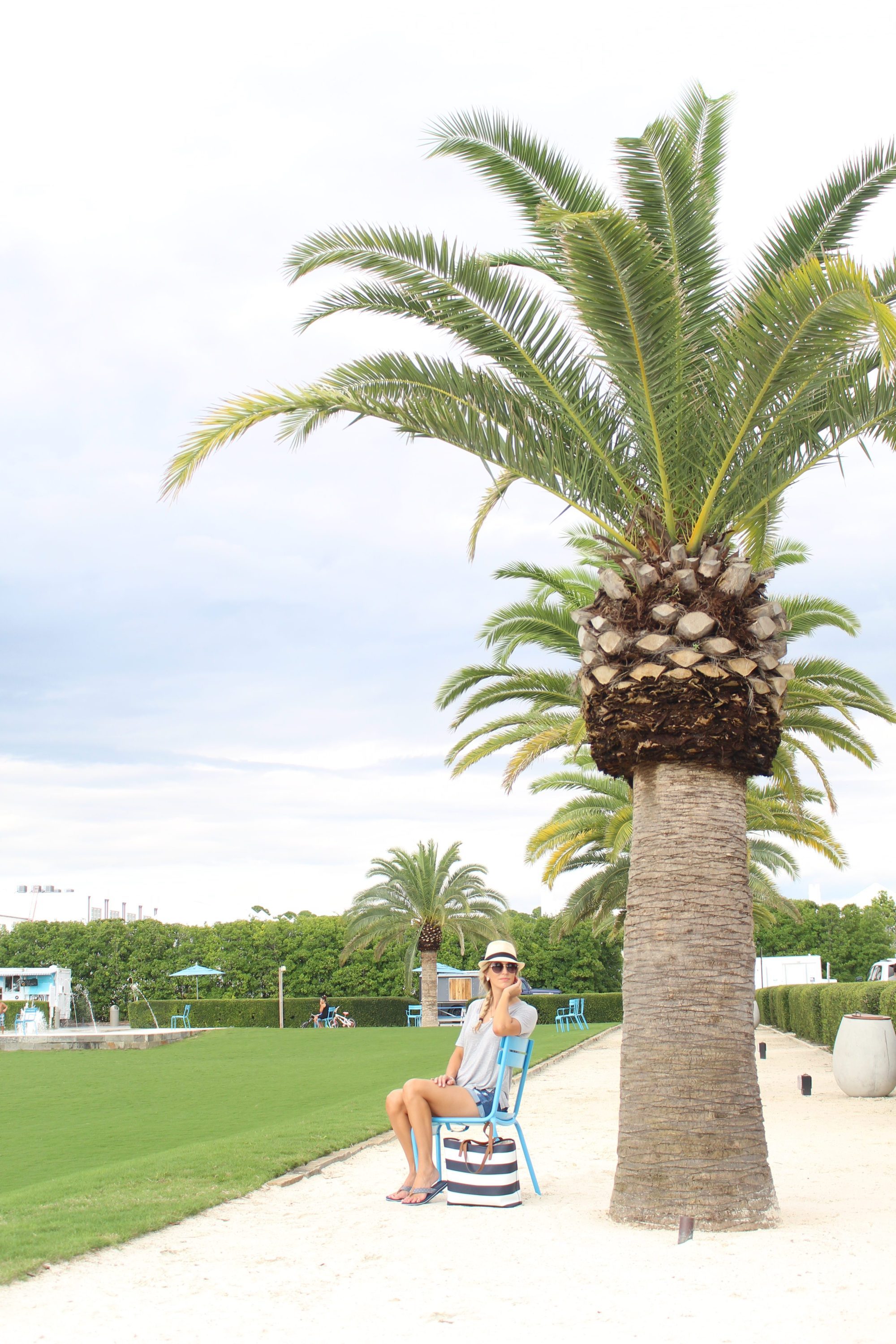 Alys-Beach-30A-Tour-4-Allison-Cawley-palm-tree