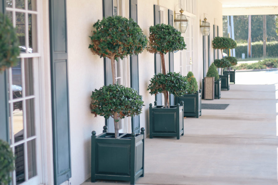 A Weekend Guide to Augusta, GA Peachfully Chic