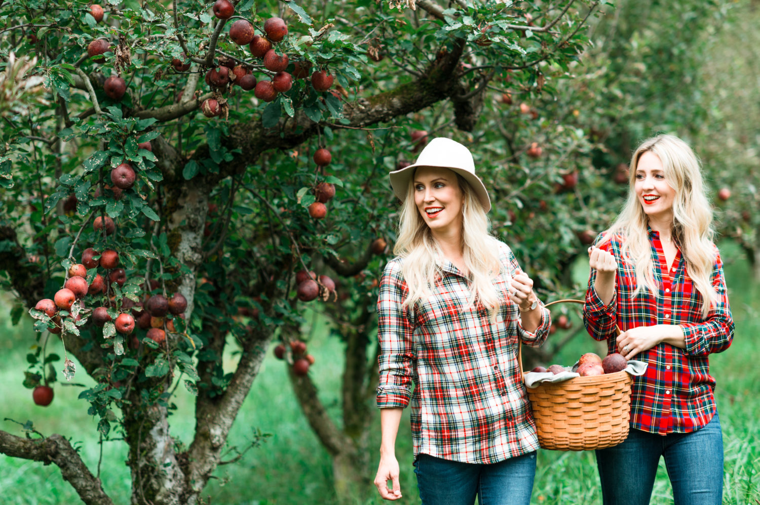 allison-cawley-city-peach-mireille-beckwith-apple-picking-1