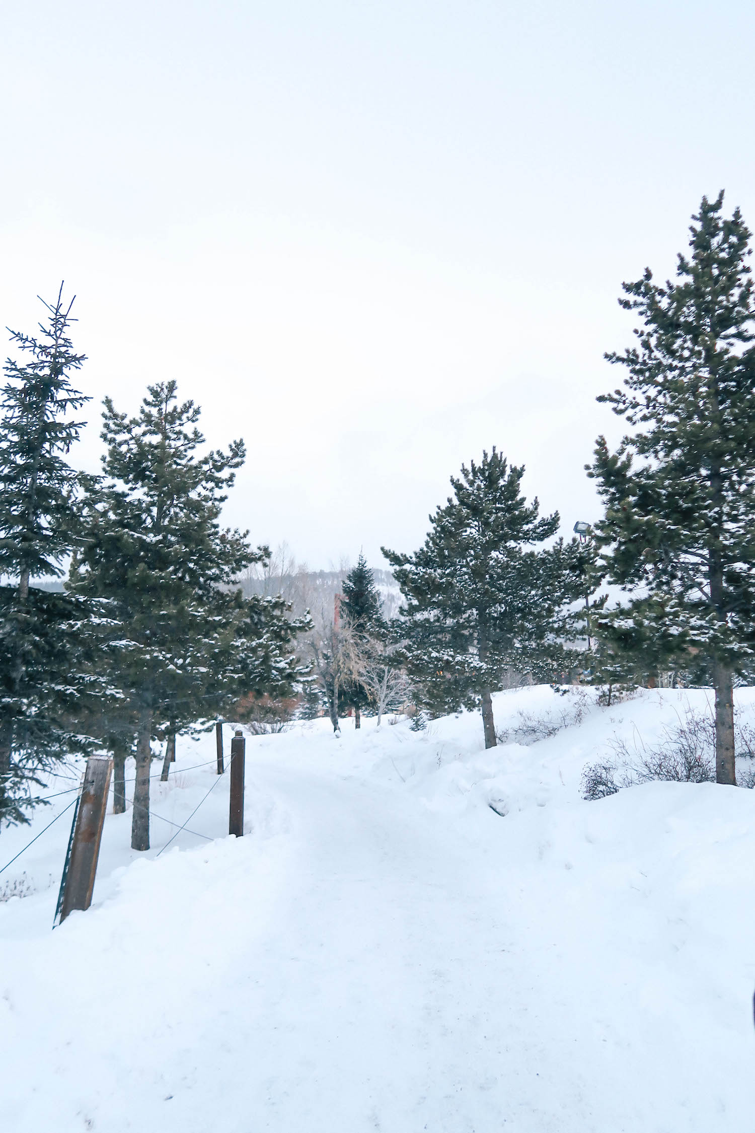 snowy-road-travel-blogger