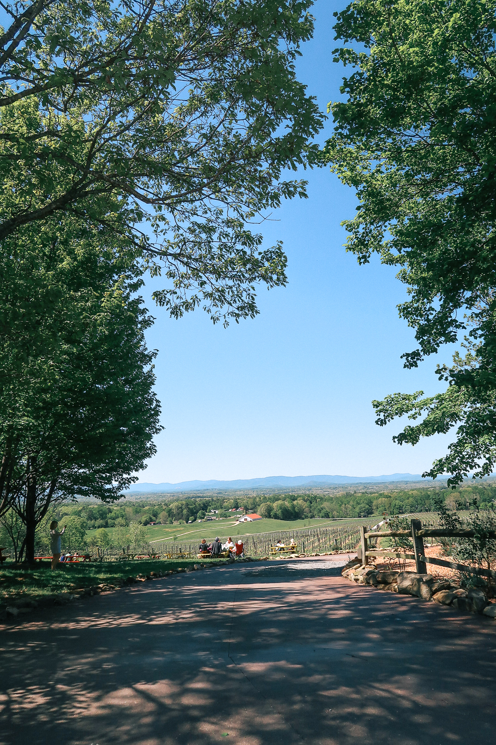Winston-Salem-Travel-Blogger-5436-raffaldini-vineyards