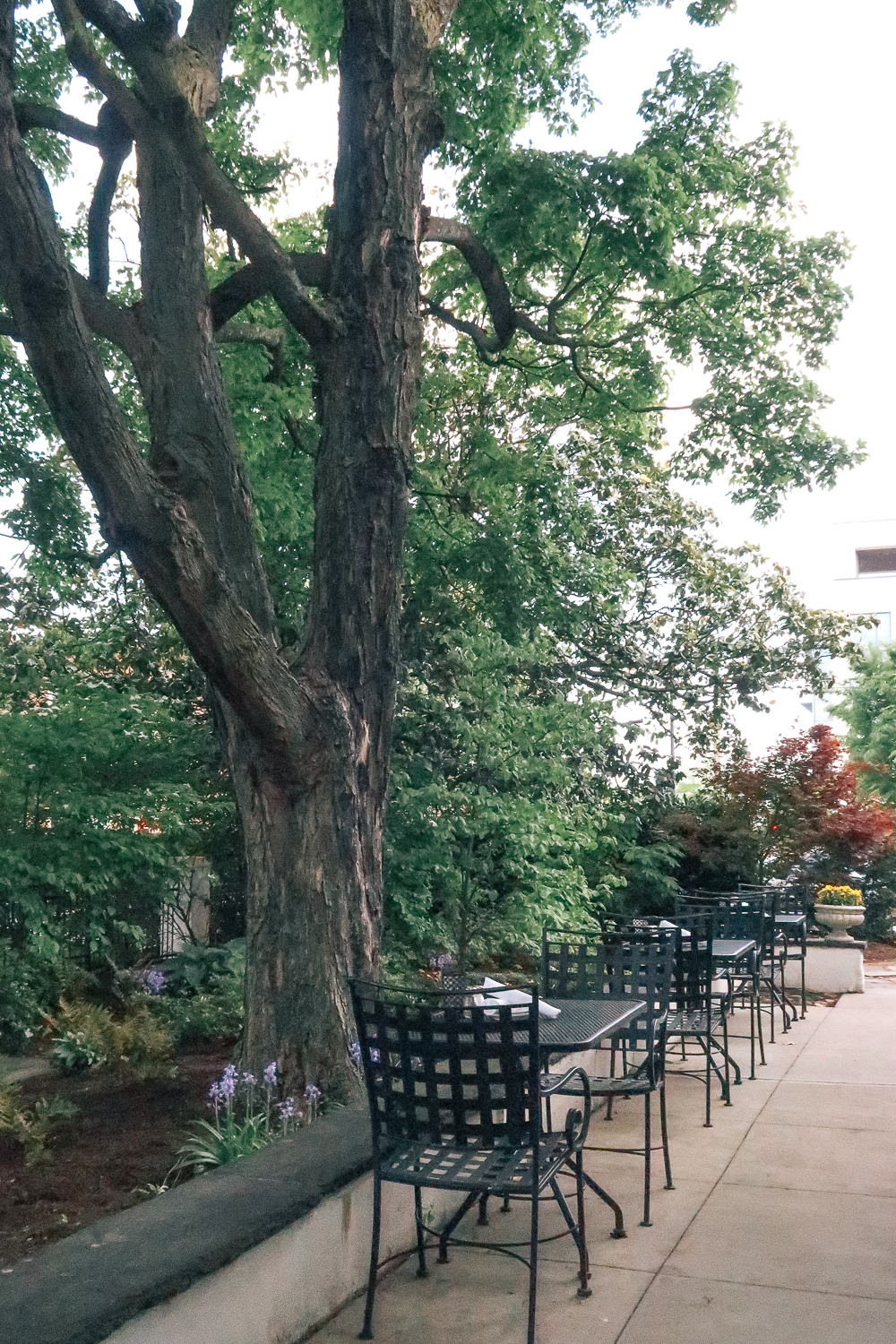 Winston-Salem-Travel-Blogger-5241-Spring-House-Restaurant