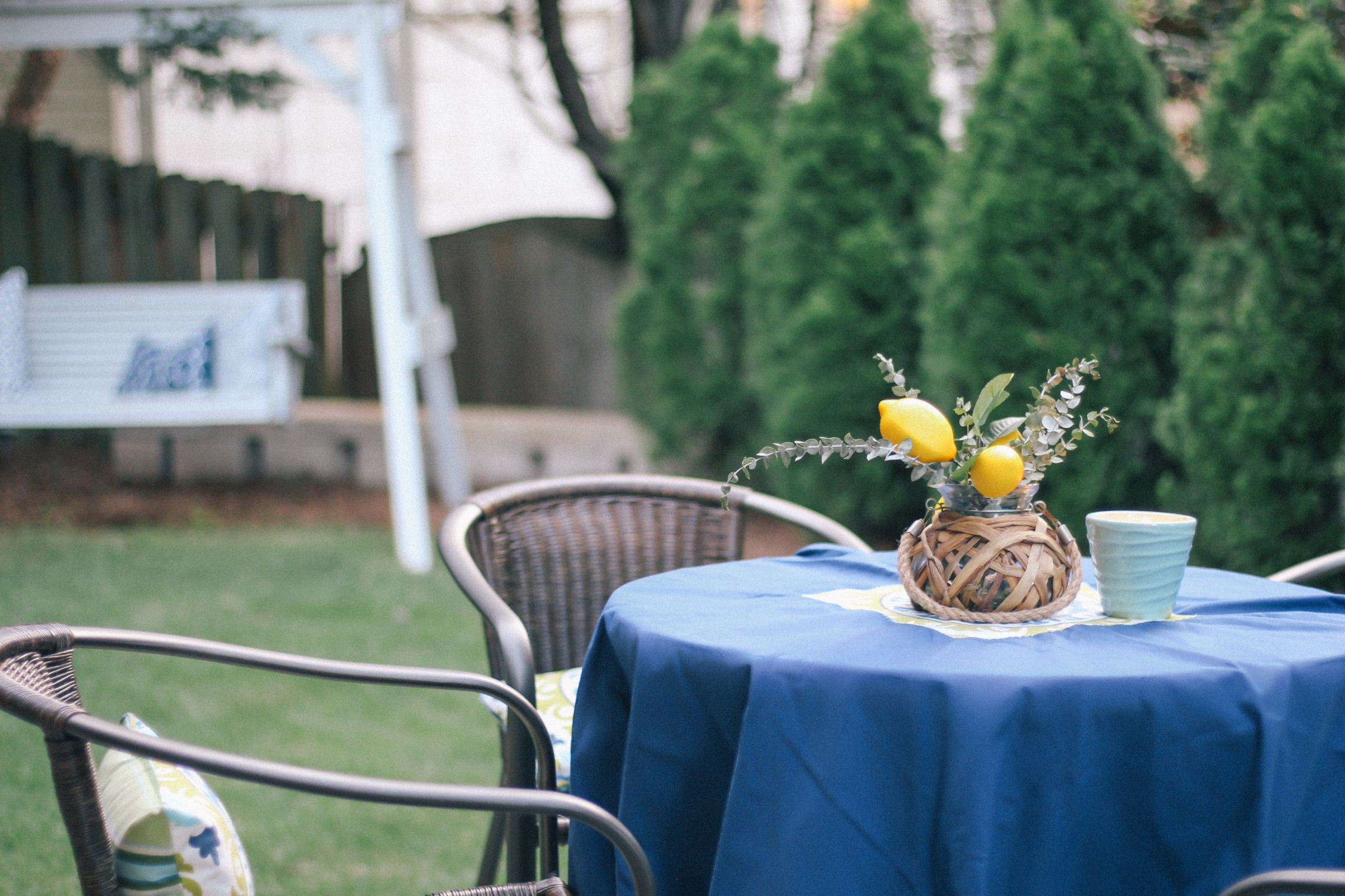 DIY-Backyard-Makeover-Tour-8046