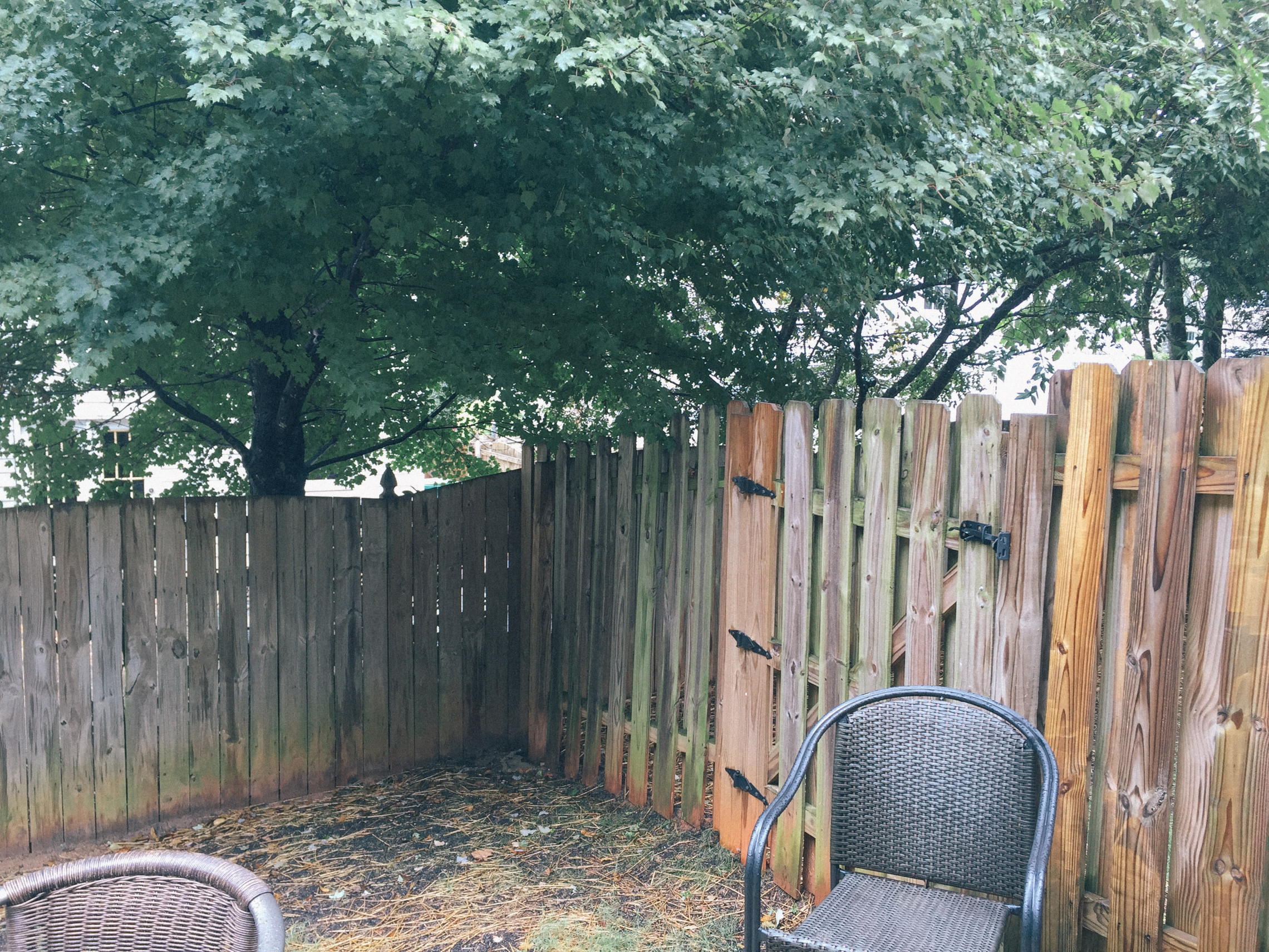 DIY-Backyard-Makeover-Tour-BEFORE-1077