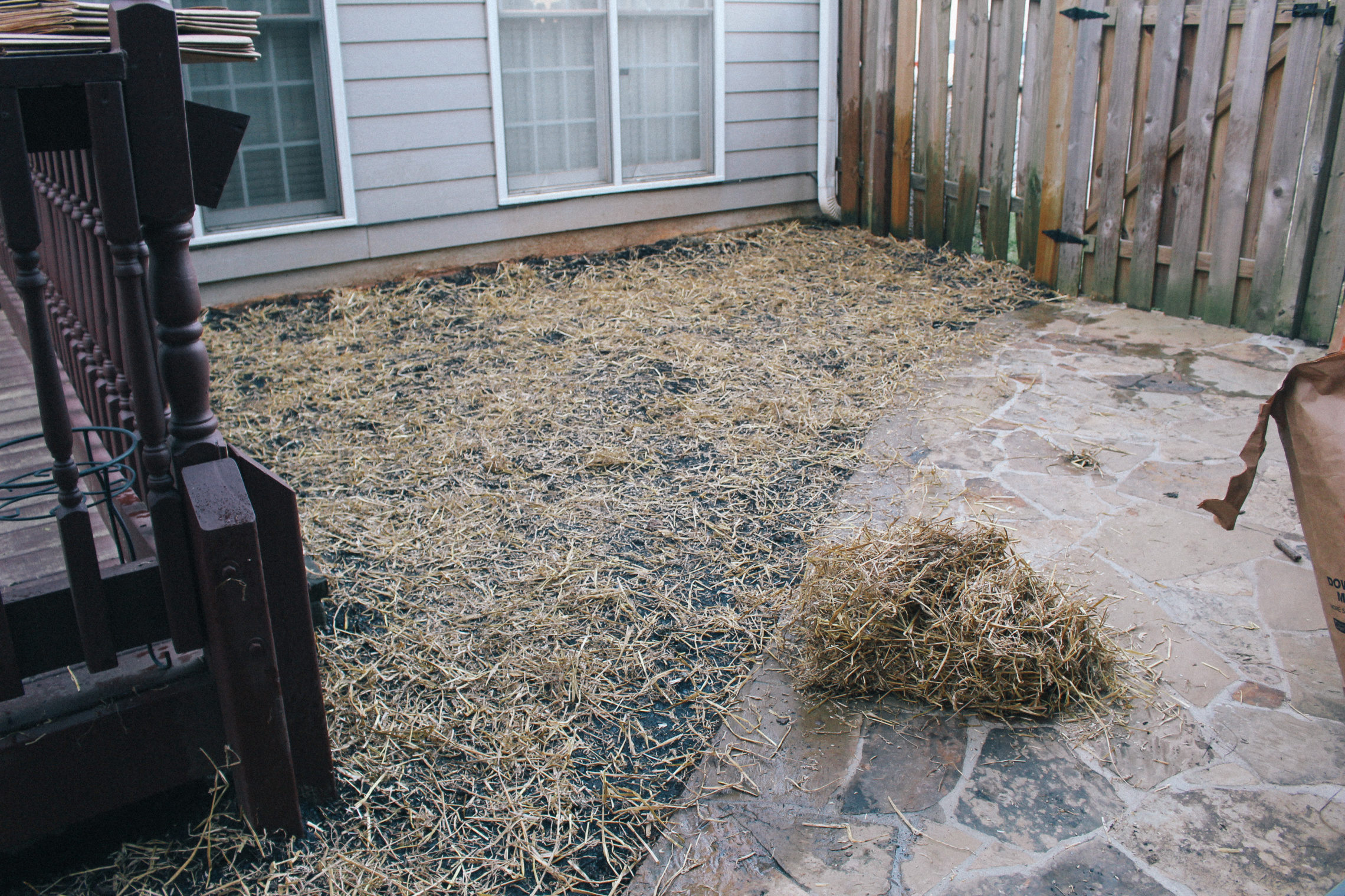 DIY-Backyard-Makeover-Tour-BEFORE-9890