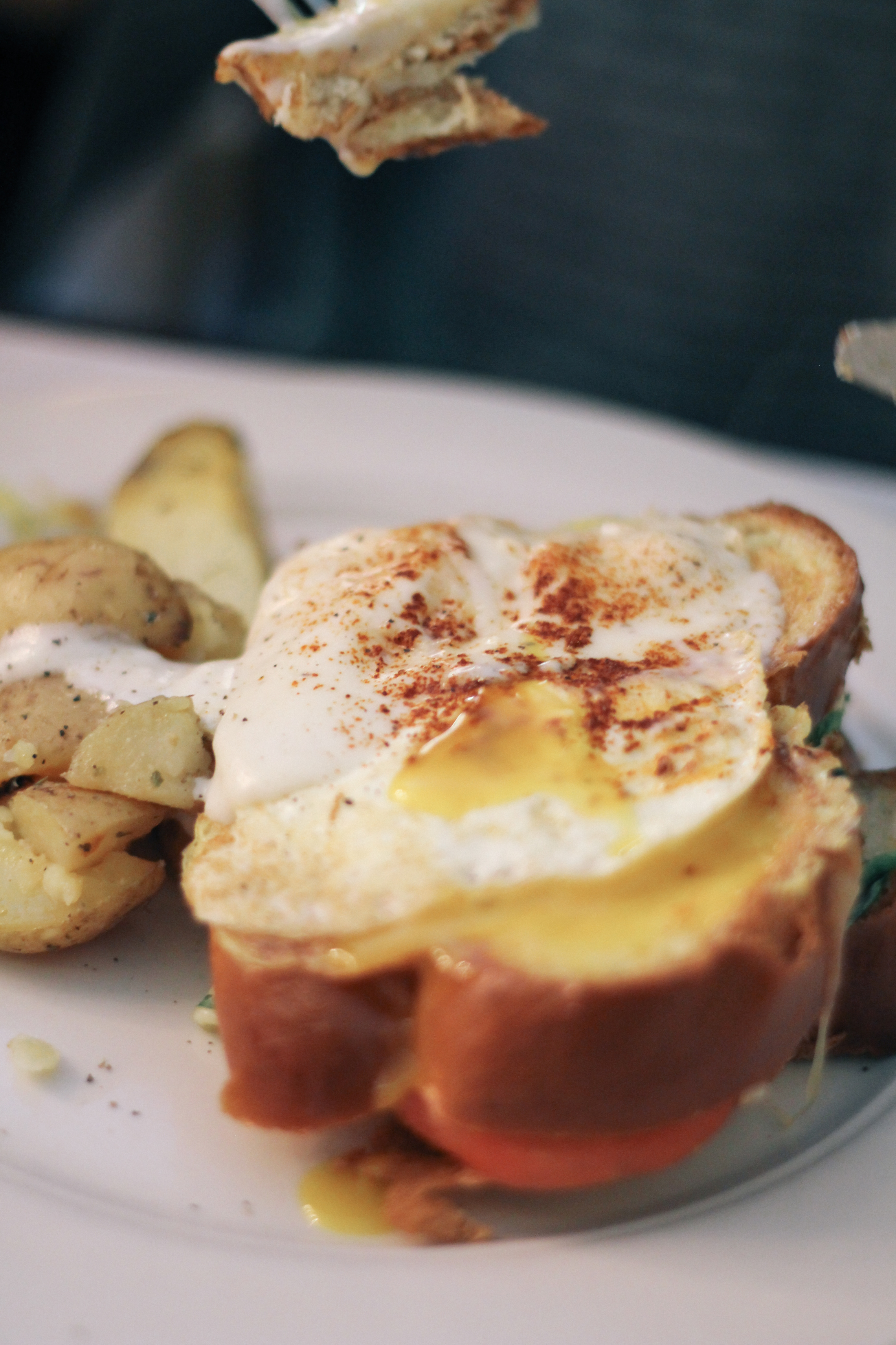 Cleveland-City-Guide-Food-Blogger-8468