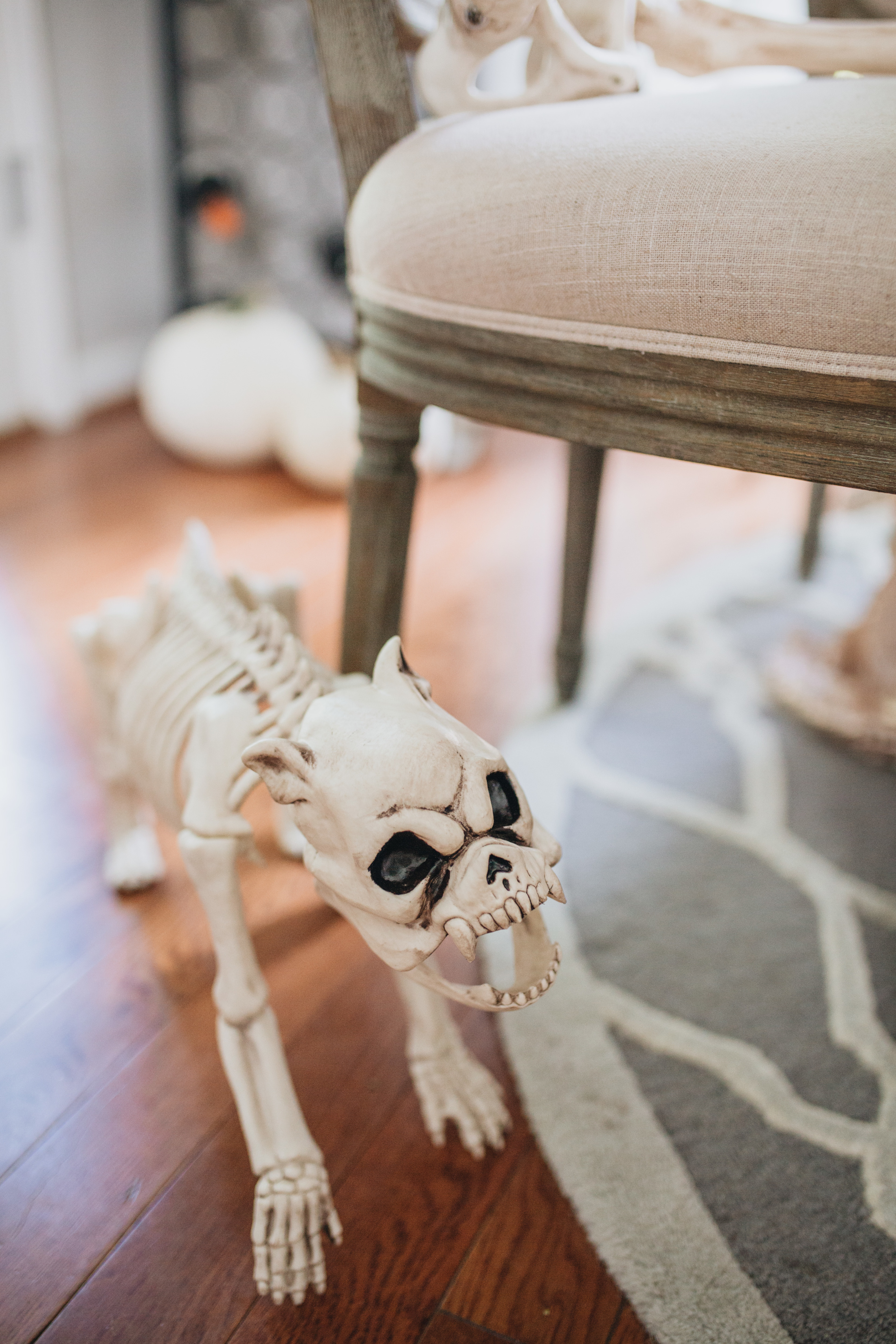 Pastel-Halloween-Party-Decor-0V7A0656