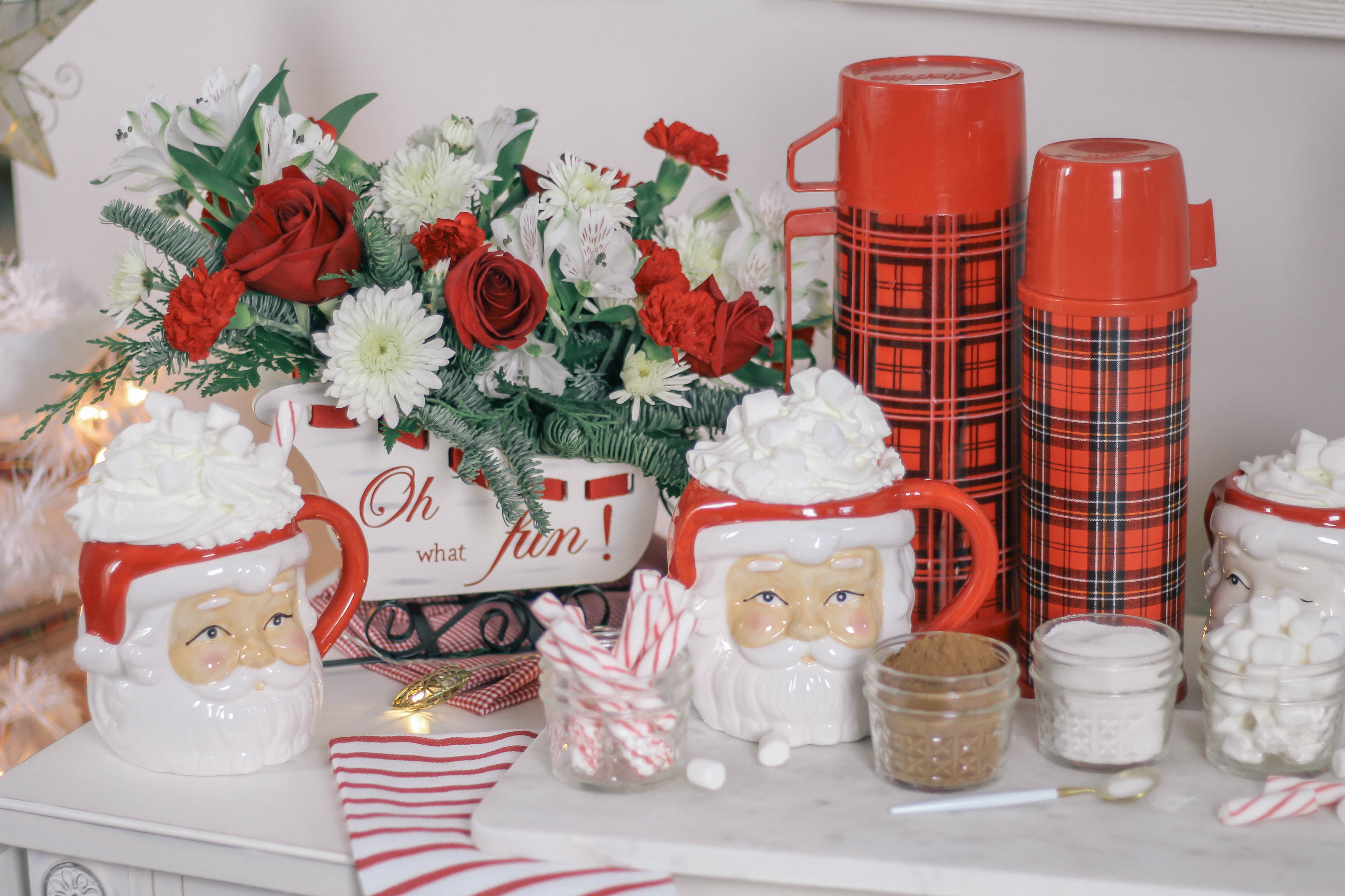 Keto-Healthy-Hot-Chocolate-Recipe-in-Santa-Mugs-0237