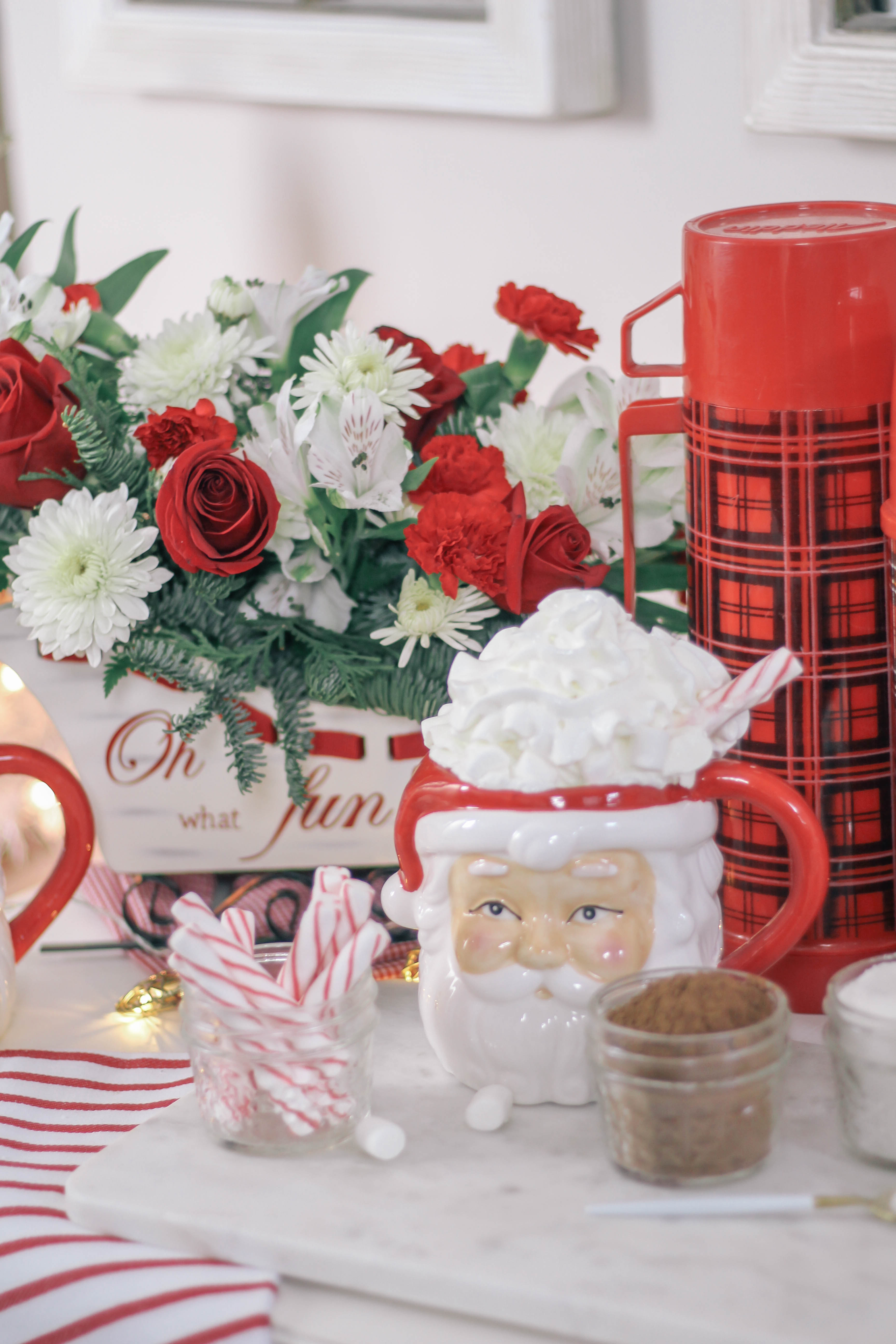 Keto-Healthy-Hot-Chocolate-Recipe-in-Santa-Mugs-0241