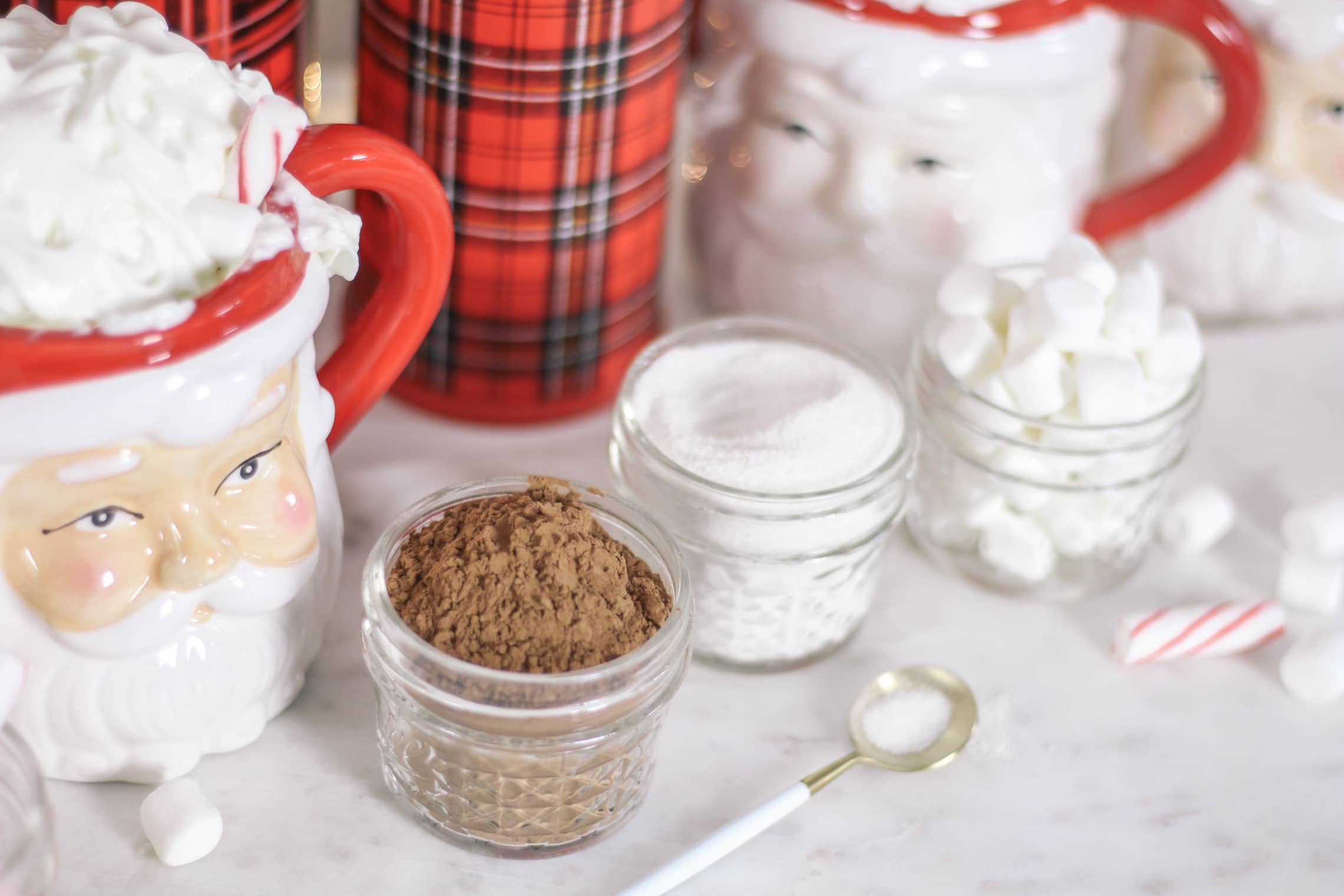 Keto-Healthy-Hot-Chocolate-Recipe-in-Santa-Mugs-0290
