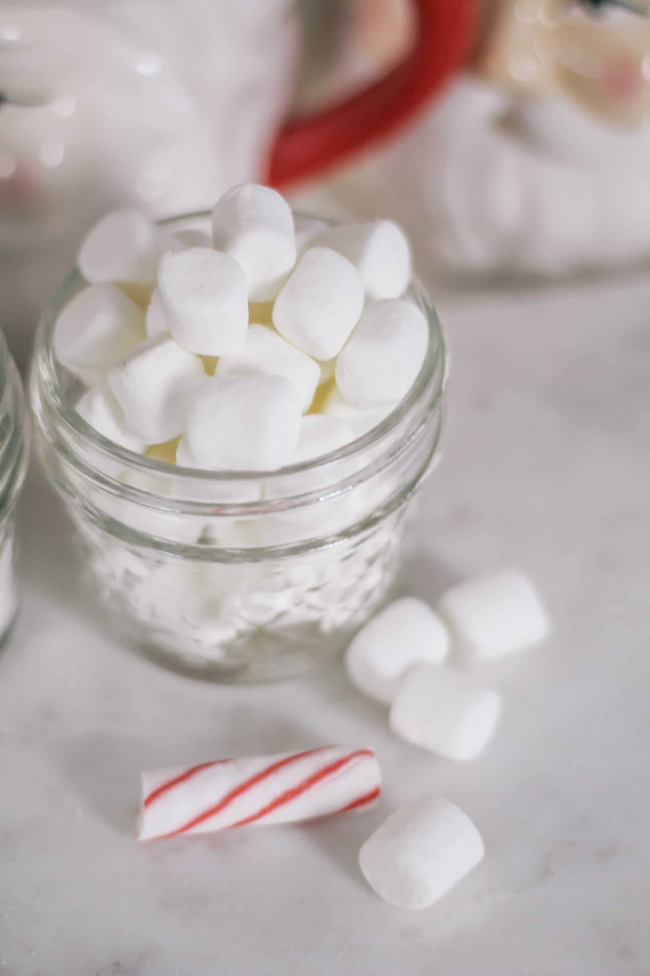 Keto-Healthy-Hot-Chocolate-Recipe-in-Santa-Mugs-0321