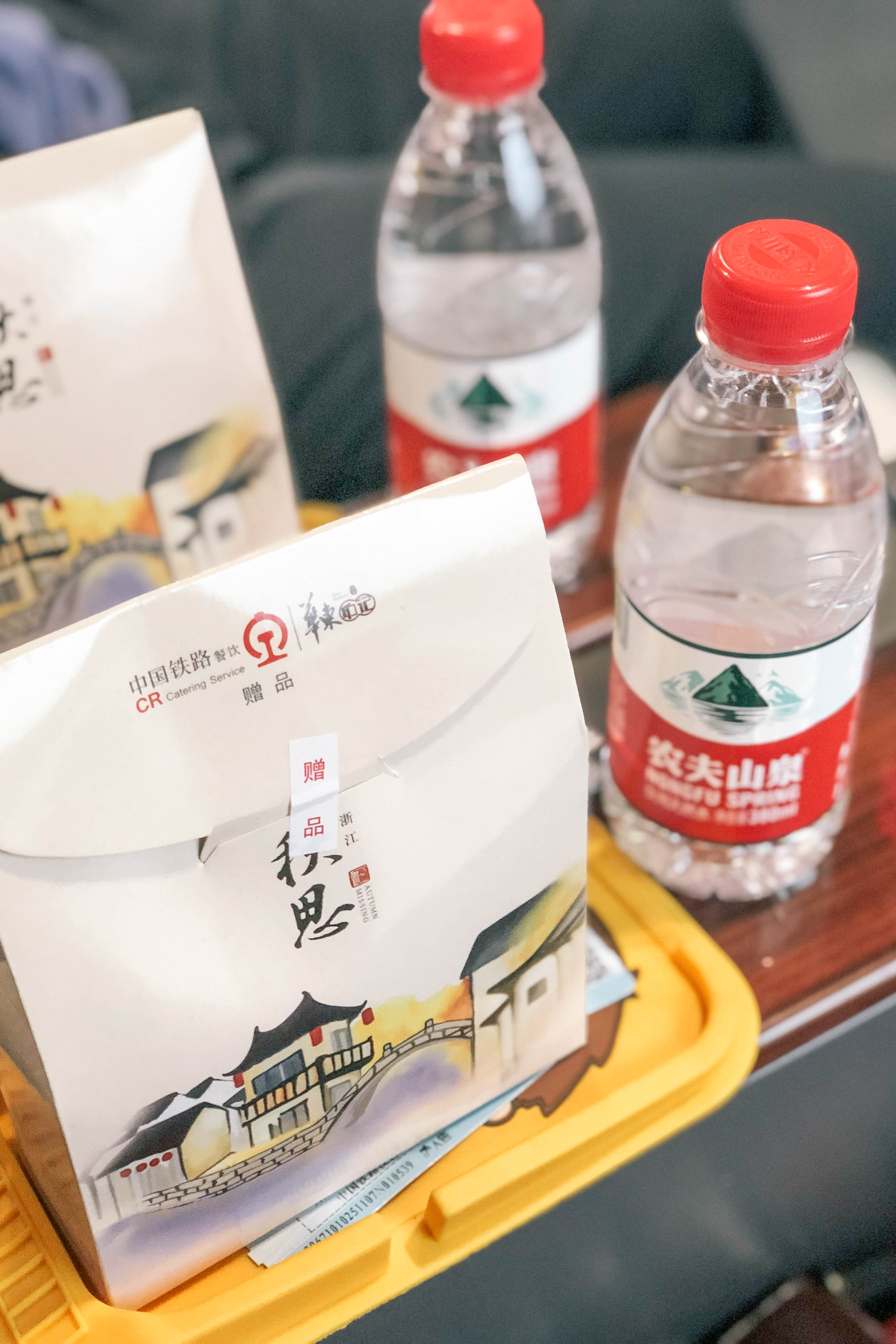 Tips-For-Traveling-to-China-5744
