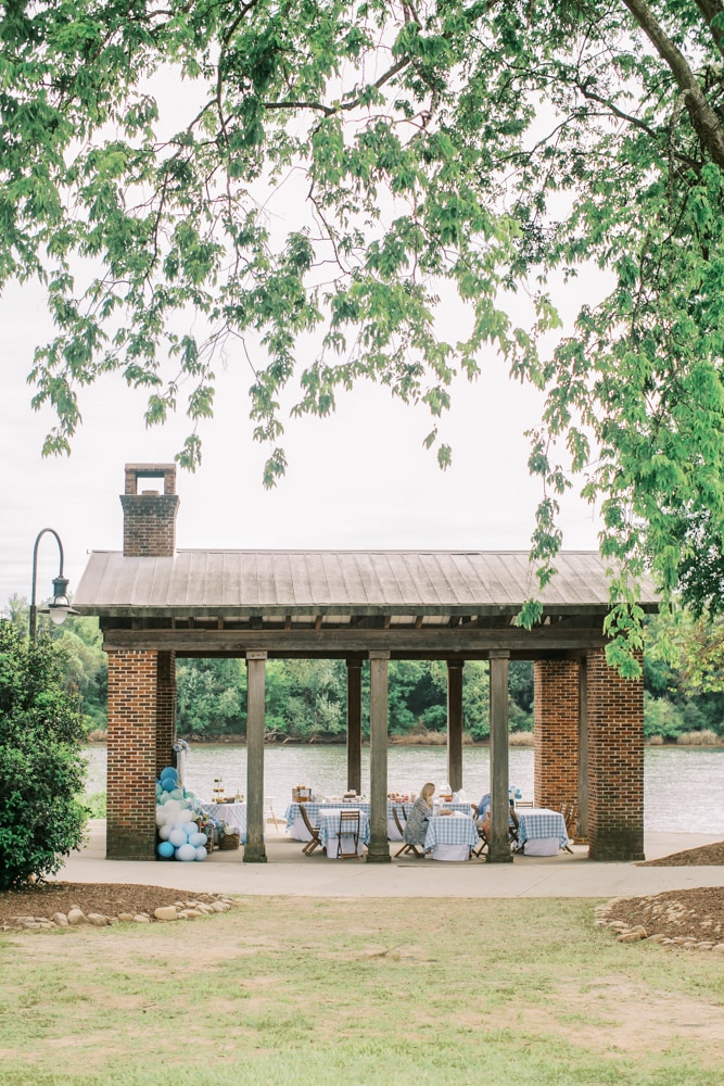 Peachfully-Chic-Augusta-Blogger-Boeckh-Park-North-Augusta-Picnic-Party