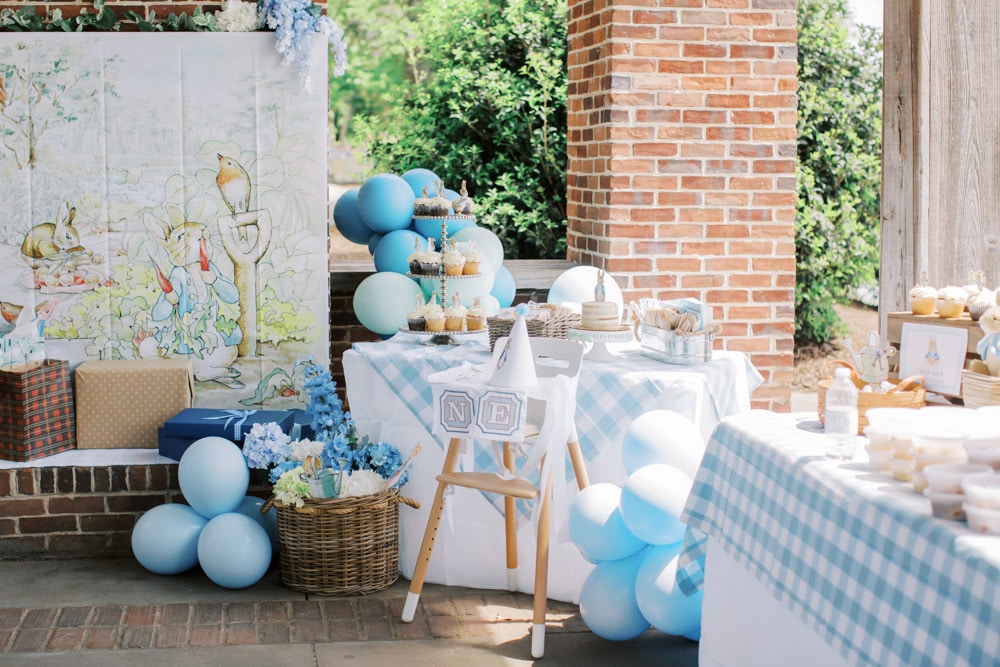 Peachfully-Chic-Peter-Rabbit-Themed-First-Birthday-Decor-Park-Gingham-Blue